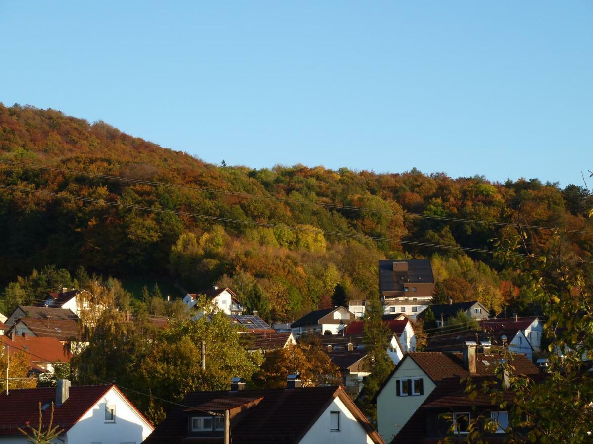 Wagner Aalen
